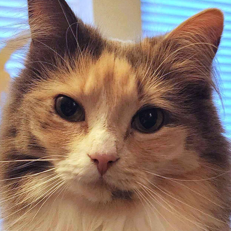 Milly