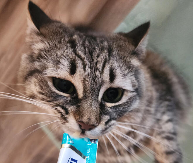 Arrietty Eating a Treat