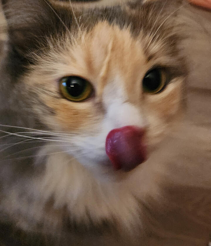 Milly Eating a Treat